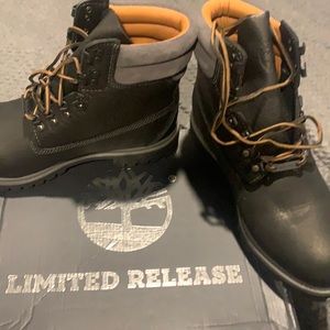 Brand New Timberland Limited Release 640 Below boots! Awesome boots!